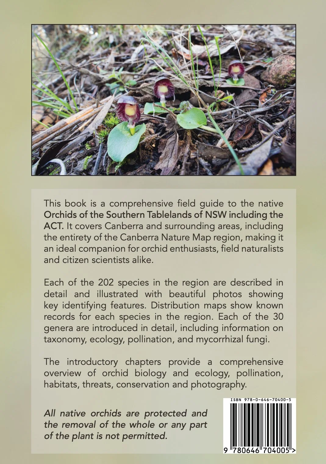 Orchids of the Southern Tablelands — TOBIAS HAYASHI